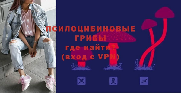 гидропоника Лабытнанги