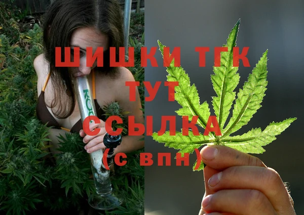 гидропоника Лабытнанги