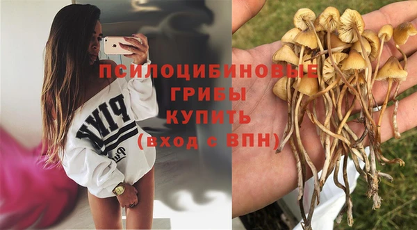 гидропоника Лабытнанги